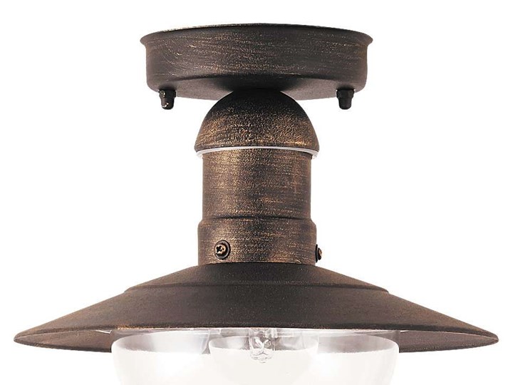 Zewnętrzna LAMPA sufitowa OSLO 8716 Rabalux ogrodowa OPRAWA industrialna outdoor IP44 czarna Kolor Czarny