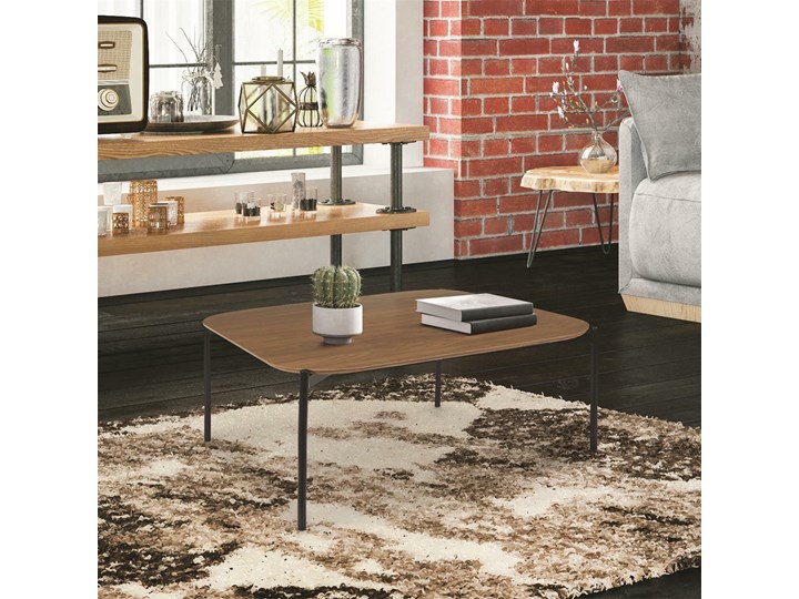 Loftowy stolik kawowy do salonu Zalda Rodzaj nóg Kółka Zestaw stolików Szerokość 80 cm Szkło Długość 80 cm Ława Metal Płyta MDF Wysokość 40 cm Drewno Funkcje Z półkami