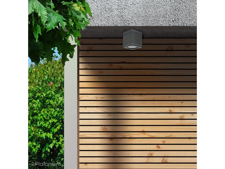 Lampa zewnętrzna sufitowa grafit (tuba kwadrat spot 9,5cm, 1x GU10) SU-MA (Midi) 1458 Kategoria Lampy ogrodowe Lampa sufitowa Kolor Szary