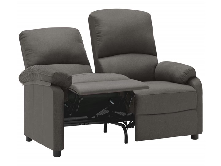 vidaXL 2-osobowa sofa rozkładana, ciemnoszara, tapicerowana tkaniną Stała konstrukcja Boki Z bokami