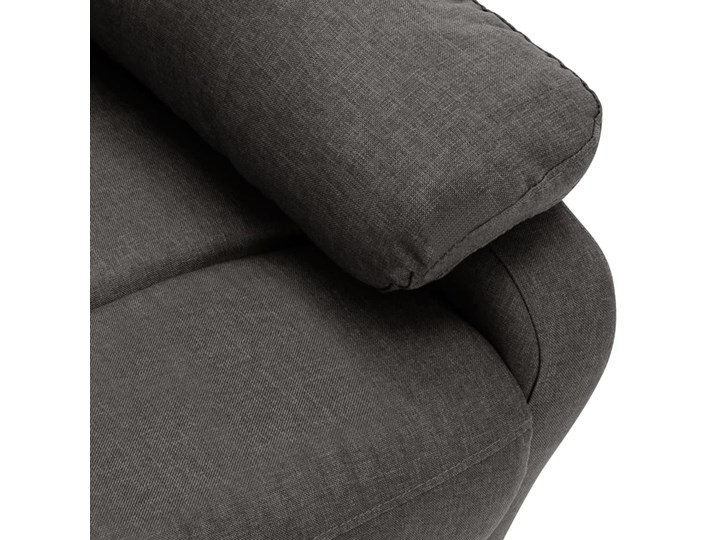 vidaXL 2-osobowa sofa rozkładana, ciemnoszara, tapicerowana tkaniną Stała konstrukcja Kategoria Sofy i kanapy