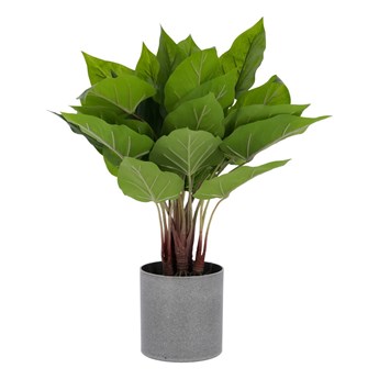 Sztuczny kwiat Toulitka Kave Home, wys. 50 cm