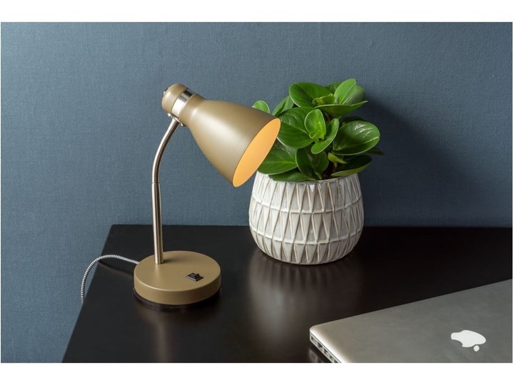 Zielona lampa stołowa Leitmotiv Study, wys. 30 cm Lampa z kloszem Metal Kolor Zielony Kategoria Lampy stołowe
