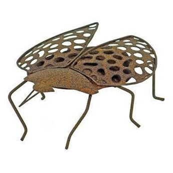 Insekt rdzeniowy Biedronka brązowy