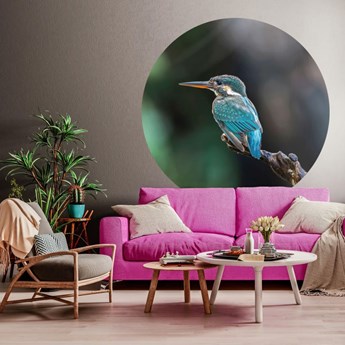 WallArt Okrągła fototapeta The Kingfisher, 190 cm