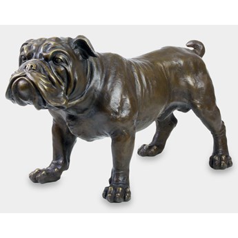 Buldog Angielski
