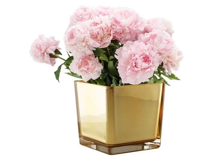 Trend Glass Złoty wazon, osłonka na doniczkę, pojemnik dekoracyjny Cassia Golden Chic Szkło Kategoria Wazony