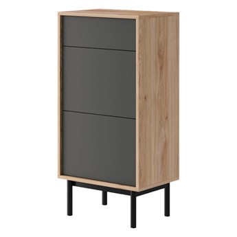 Szafka na buty nowoczesna BASIC BGD54 Grafit mat + Jackson Hickory