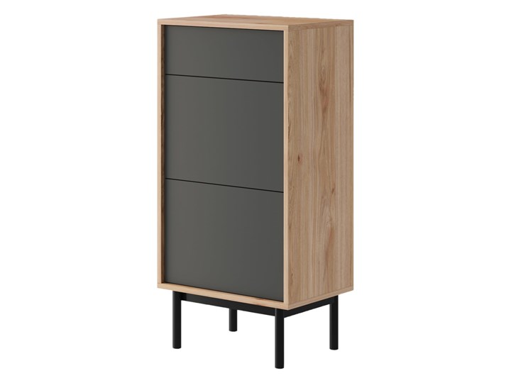 Szafka na buty nowoczesna BASIC BGD54 Grafit mat + Jackson Hickory Kolor Szary Wysokość 112 cm Głębokość 54 cm Szerokość 112 cm Drewno Głębokość 39 cm Szerokość 54 cm Płyta MDF Kategoria Szafki i regały