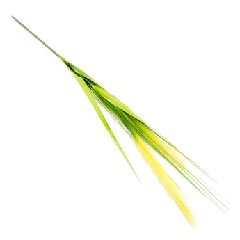 Sztuczna trawa dekoracyjna pompasowa roślina do salonu źdźbło pęk trawy żółta DFS016-1
