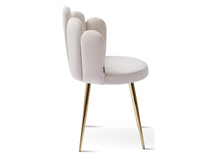 Krzesło muszelka beżowe DC-6092 złote nogi, welur Kategoria Krzesła kuchenne Metal Tworzywo sztuczne Tkanina Kolor Złoty