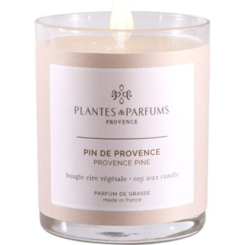 Świeca zapachowa perfumowana - Provence Pine - Prowansalska Sosna