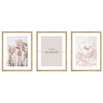 Zestaw obrazów KNOR trzciny i róża 30x40 cm - Homla