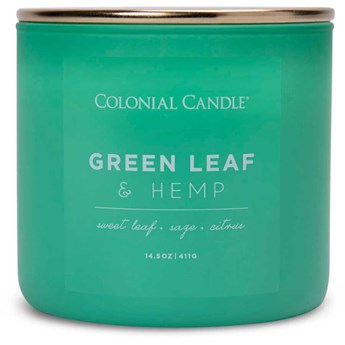 Colonial Candle Pop Of Color sojowa świeca zapachowa w szkle 3 knoty 14.5 oz 411 g - Green Leaf & Hemp