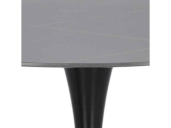 Stół jadalniany z blatem ze spieku Skinny Stone Black Stal Metal Wysokość 74 cm Marmur Kolor Czarny Pomieszczenie Stoły do jadalni