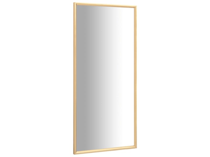 vidaXL Lustro, złote, 140x60 cm Pomieszczenie Sypialnia Pomieszczenie Łazienka