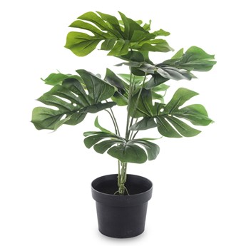 MONSTERA roślina dekoracyjna sztuczna w czarnej osłonce, wys. 55 cm