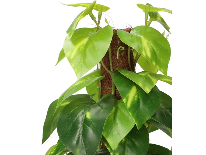 Roślina sztuczna TROPICAL ZONE Epipremnum z palikiem 38 cm - Homla Kolor Zielony