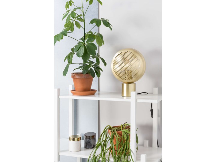 Nowoczesna złota lampa stołowa Gringo Brass Zuiver Stal Mosiądz Wysokość 31 cm Styl Skandynawski