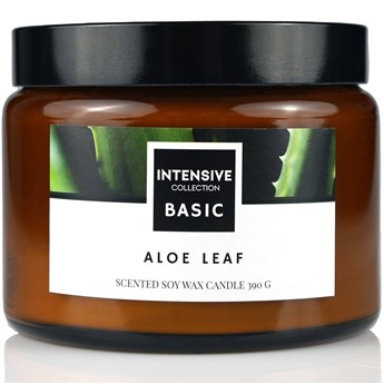 Intensive Collection Amber Basic duża sojowa świeca zapachowa drewniany knot 390 g - Aloe Leaf