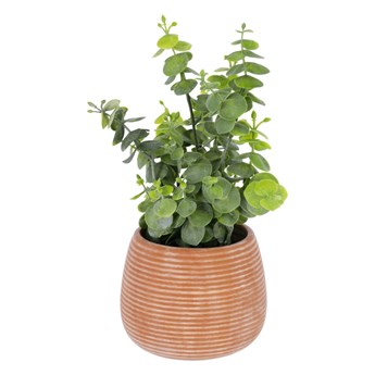 Sztuczny eukaliptus w ceramicznej doniczce Kave Home
