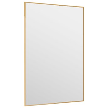 vidaXL Lustro na drzwi, złote, 40x60 cm, szkło i aluminium