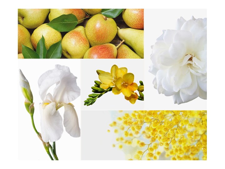 Perfumy wewnętrzne Privé Home Mimosa - Poire, 50 ml Kategoria Zapachy do domu