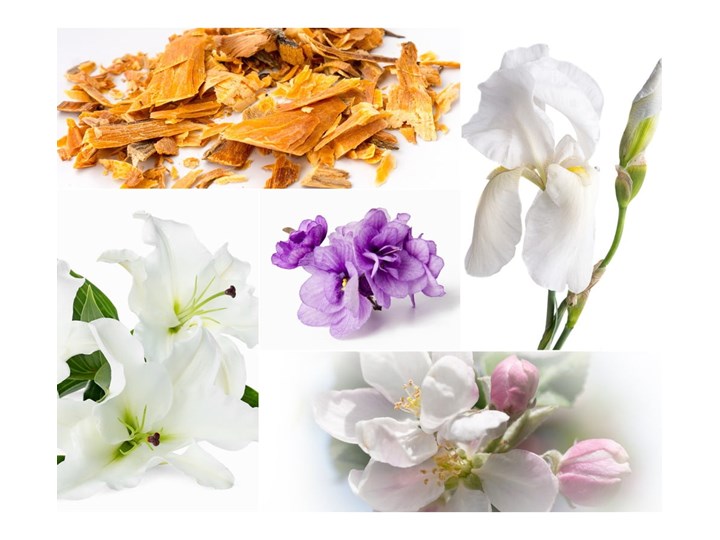 Perfumy wewnętrzne Privé Home Muscs Poudres, 200 ml Kategoria Zapachy do domu