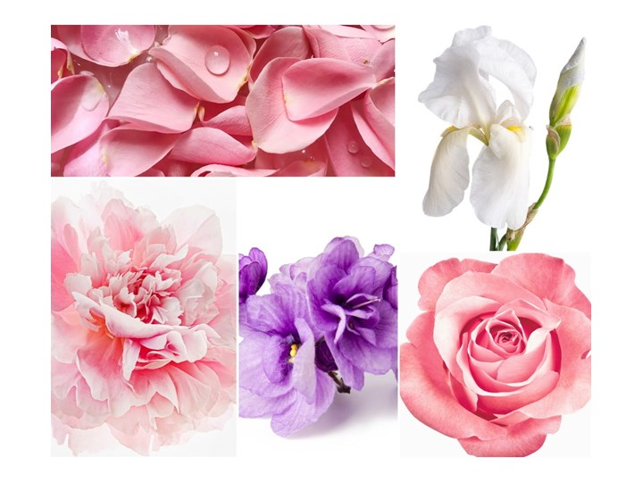 Perfumy wewnętrzne Privé Home Rose Pivoine, 50 ml Kategoria Zapachy do domu