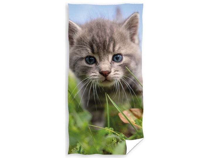 Ręcznik bawełniany 70x140 RDS-16 70x140 cm Ręcznik plażowy Ręcznik kąpielowy Kategoria Ręczniki Ręcznik do sauny Bawełna Kolor Zielony