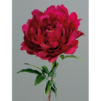 Piwonia Różowa 58 cm