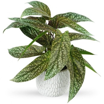 Sztuczna roślina w doniczce dekoracyjna syngonium 47 cm kod: O-569456