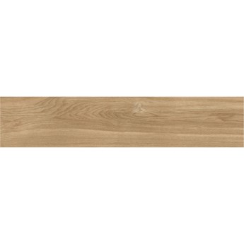 gres HARDWOOD miele 120x20 rekt.