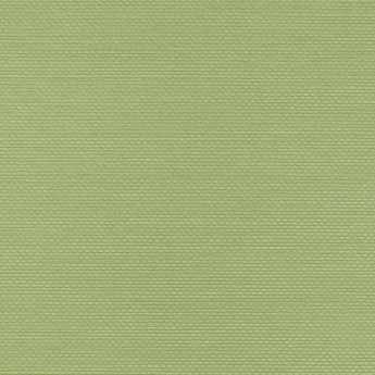 Tapeta ścienna Vinylpex Ralph - W47.172