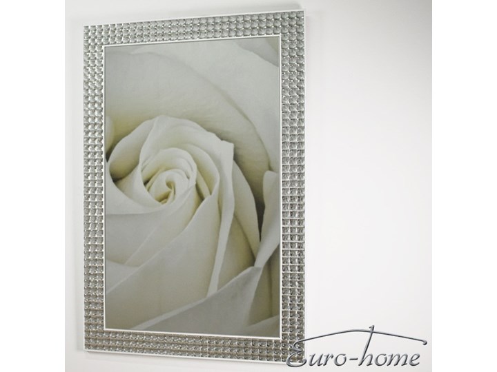 Rodzaj ścienne LUSTRO RAMA Z KRYSZTAŁKÓW LW-2031 80x120cm Lustra do garderoby