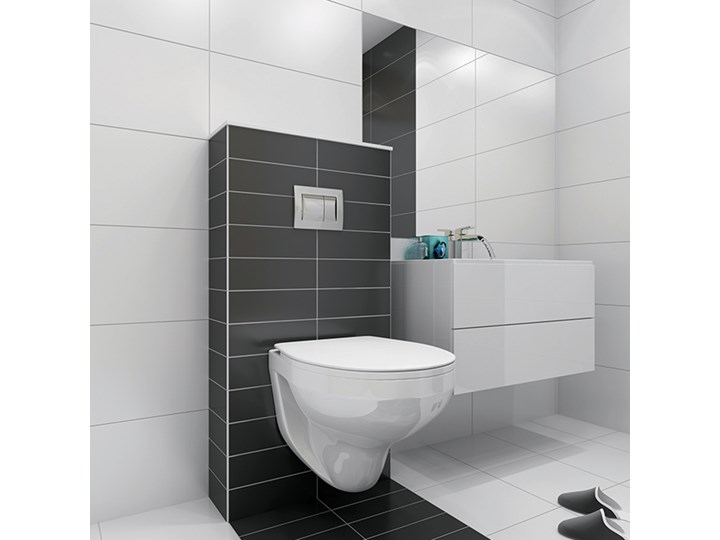 Przycisk WC Roca Active - Przyciski splukujace - Homebook