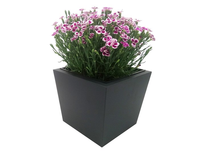 Donica, doniczka "Dalia" DON0007S