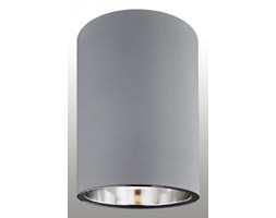 Lampa Argon Tyber 3108 oprawa sufitowa 1 1x60W E27 szara >>> RABATUJEMY do 20% KAŻDE zamówienie !!!