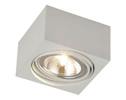 Plafon Argon Rodos 263 ruchomy 1x48W G9 biały >>> RABATUJEMY do 20% KAŻDE zamówienie !!!