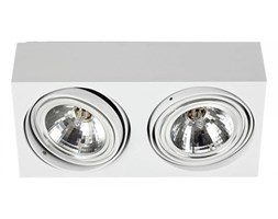 Plafon Argon Rodos 581 sufitowy oprawa lampa downlight 2x48W G9 biały metal >>> RABATUJEMY do 20% KAŻDE zamówienie !!!