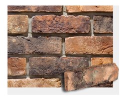 CEGŁA RĘCZNIE FORMOWANA FB KASTEEL ORANJE WDF 214x99x65 MM FIRMY CRH KLINKIER