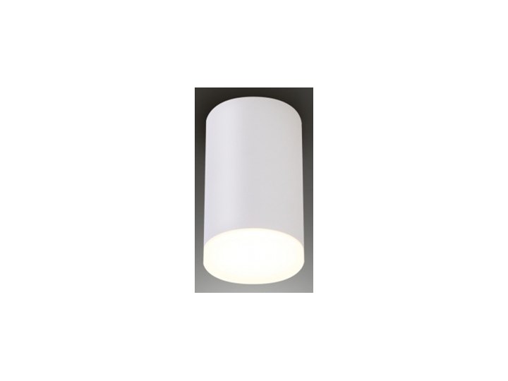 SPHERE C0094 lampa sufitowa biała Kolor Biały Oprawa led Oprawa stropowa Okrągłe Kategoria Oprawy oświetleniowe