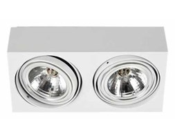 Plafon Argon Rodos 581 sufitowy oprawa lampa downlight 2x48W G9 biały metal >>> RABATUJEMY do 20% KAŻDE zamówienie !!!