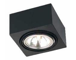 Plafon Argon Rodos 346 sufitowy ruchomy lampa 1x48W G9 Czarny >>> RABATUJEMY do 20% KAŻDE zamówienie !!! - wysyłka w 24h