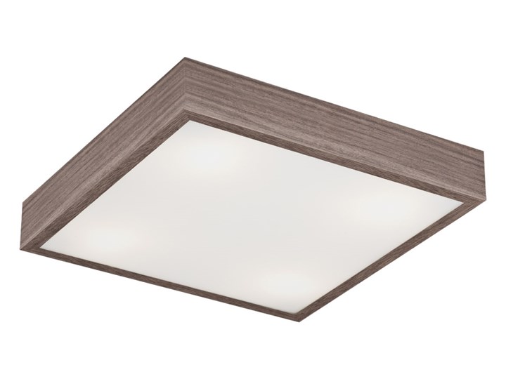 Argon 1611 - Lampa sufitowa TEQUILA BIS 4xE27/60W/230V