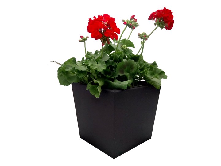 Donica, doniczka "Dalia" DON0004M