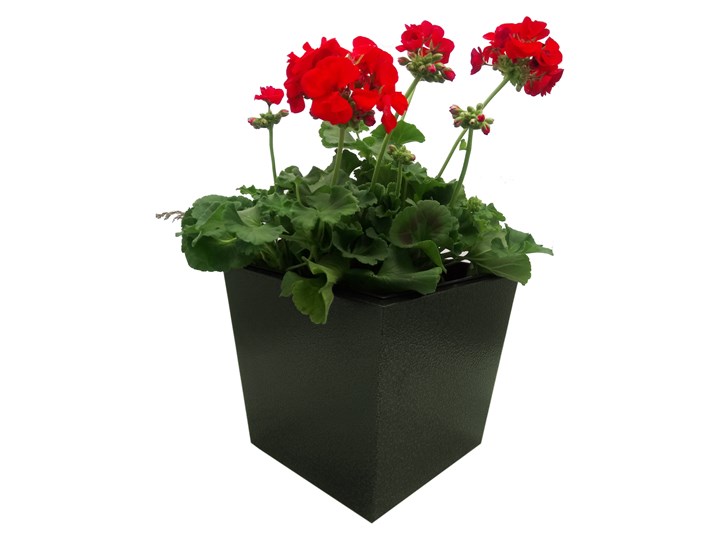 Donica, doniczka "Dalia" DON0005M