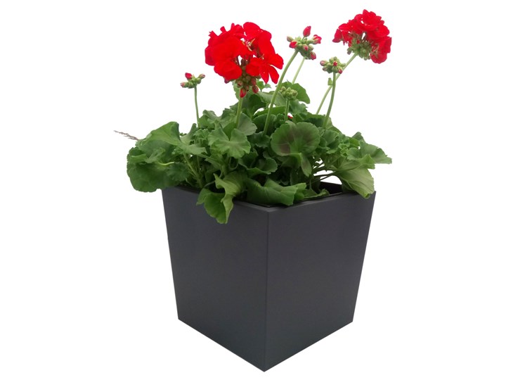 Donica, doniczka "Dalia" DON0007M