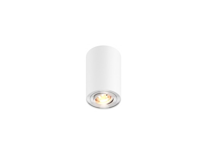 Lampa Sufitowa Okrągła Round Led Ip24 Metalowa Downlight Natynkowa