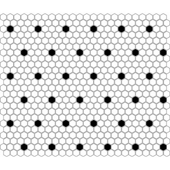 Mini Hexagon B&W Spot  26x30